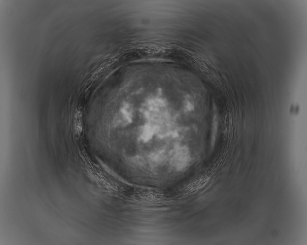 X0000088870962200706291537