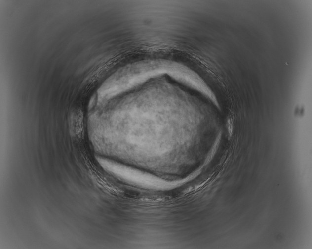 X0000088870963200706291537
