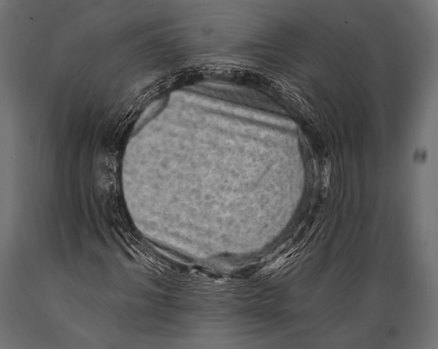 X0000088870964200706291537