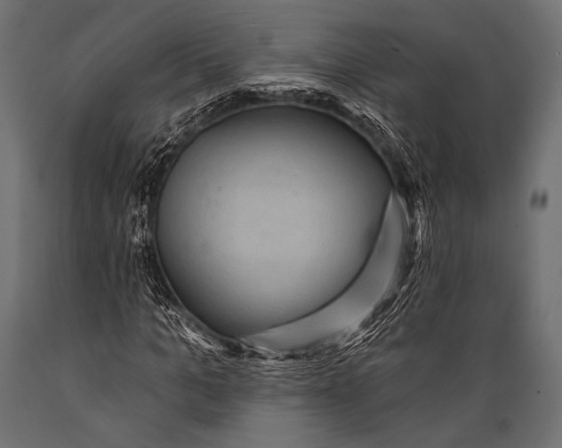 X0000088870965200706291536