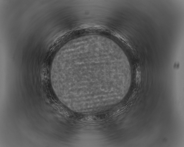 X0000088870966200706291536