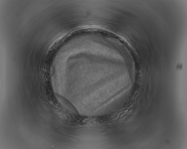 X0000088870967200706291536