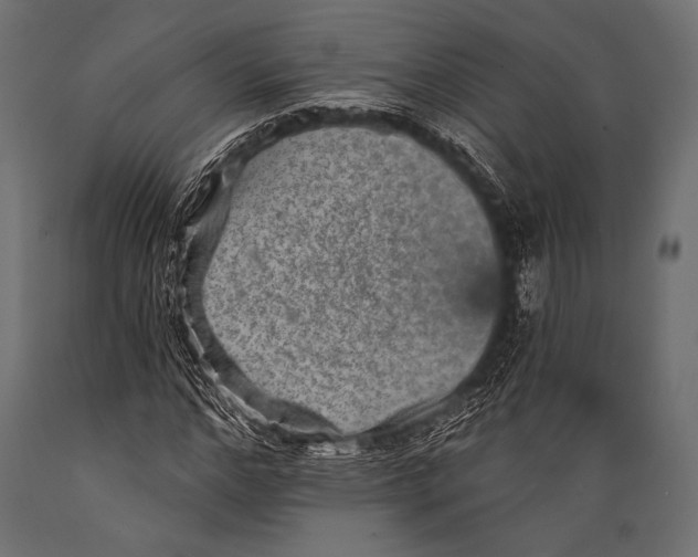 X0000088870968200706291536