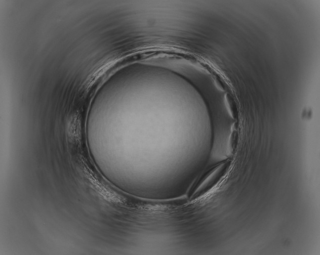 X0000088870969200706291536