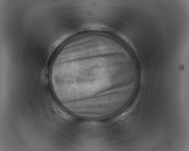 X0000088870970200706291536