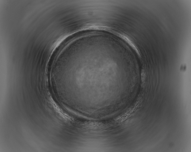 X0000088870972200706291536