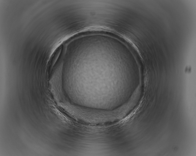 X0000088870973200706291536