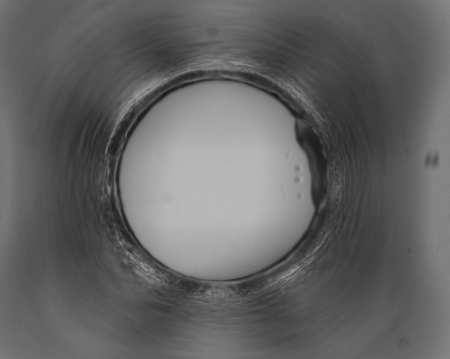 X0000088870974200706291536