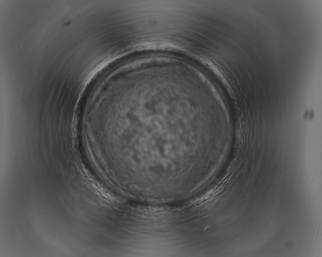 X0000088870975200706291536
