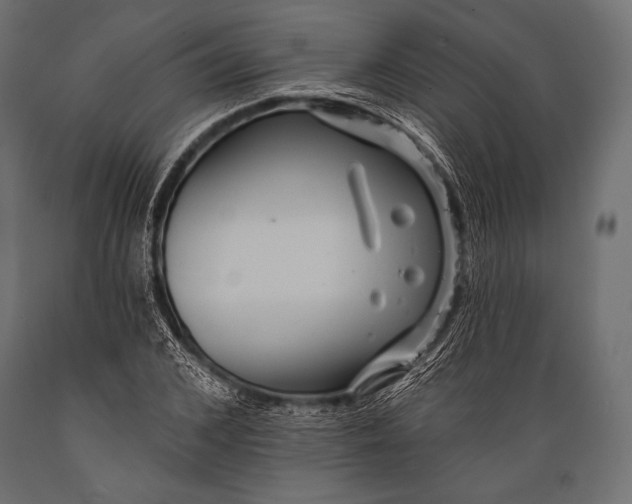 X0000088870976200706291536