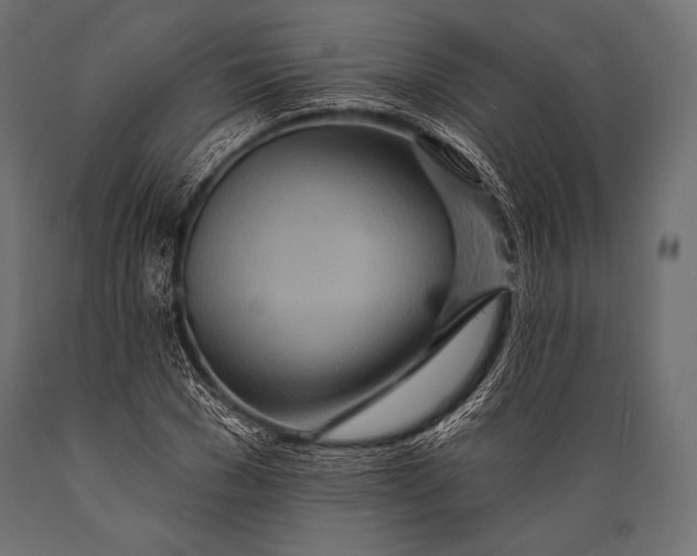 X0000088870977200706291536