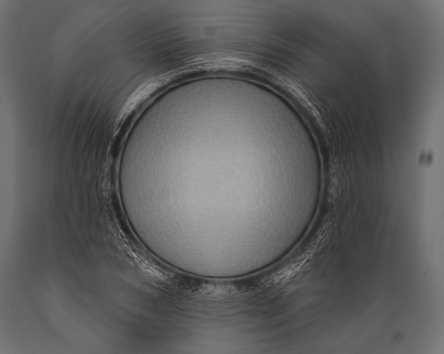 X0000088870978200706291536