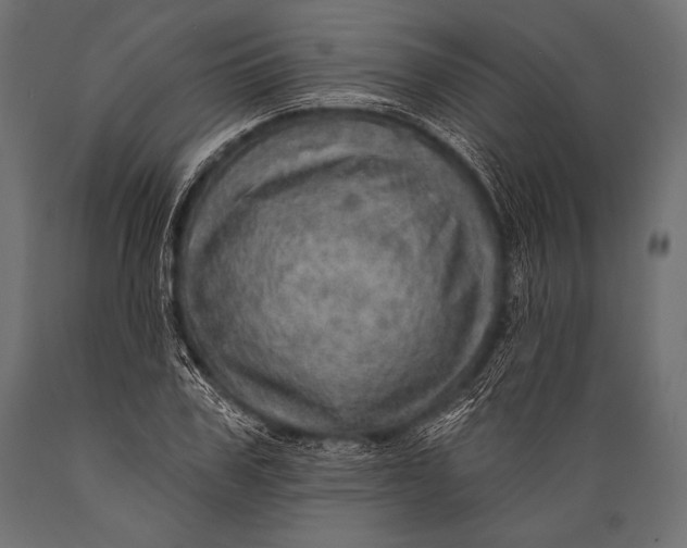 X0000088870979200706291536