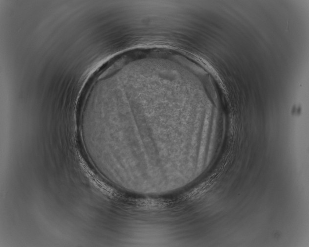X0000088870980200706291536