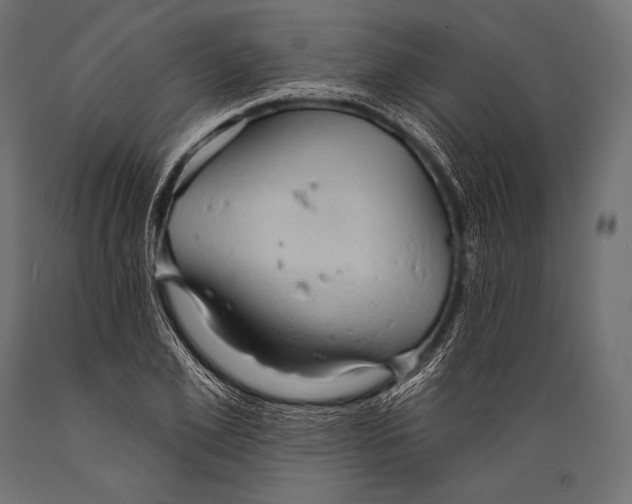 X0000088870981200706291536