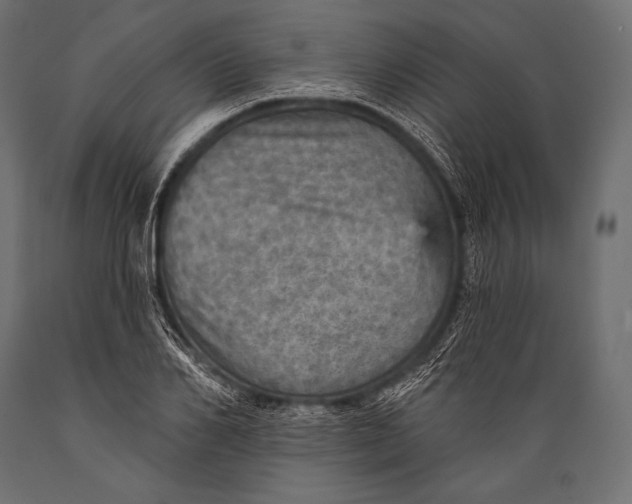 X0000088870982200706291536