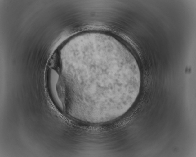 X0000088870983200706291536