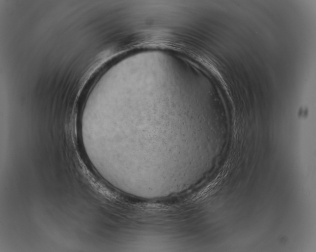 X0000088870984200706291536