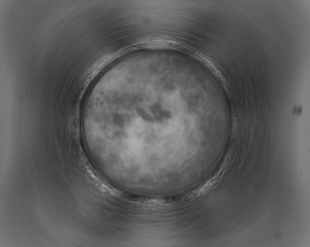 X0000088870986200706291536