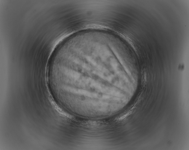 X0000088870987200706291536