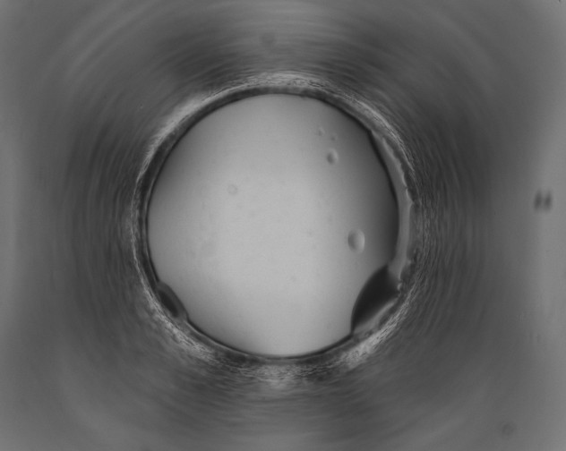 X0000088870989200706291536