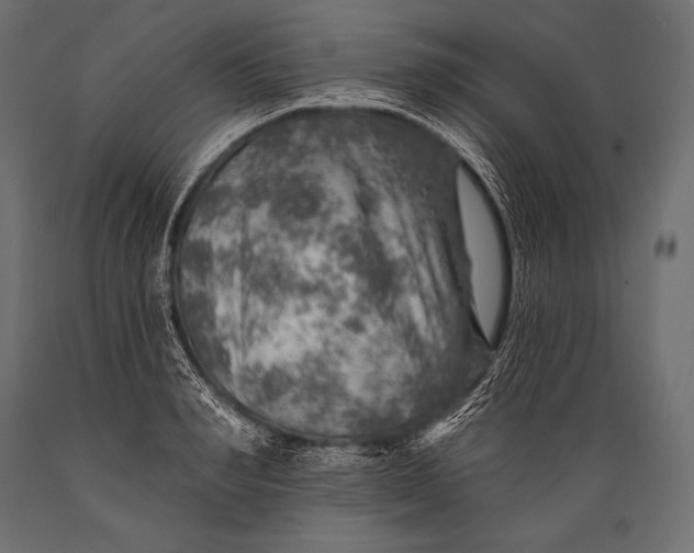 X0000088870990200706291536