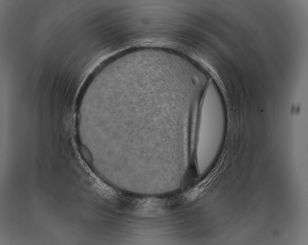 X0000088870992200706291536