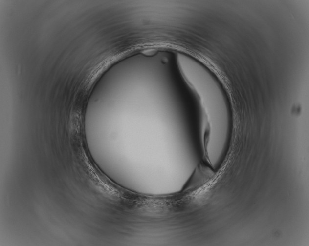 X0000088870993200706291536