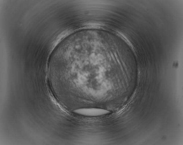 X0000088870994200706291536