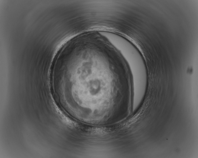 X0000088870995200706291536