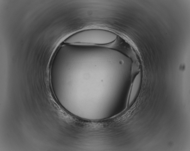 X0000088870996200706291536