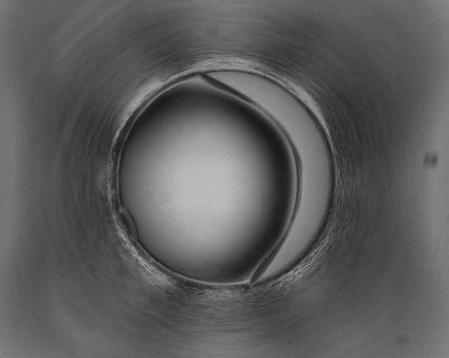 X0000088870997200706291536