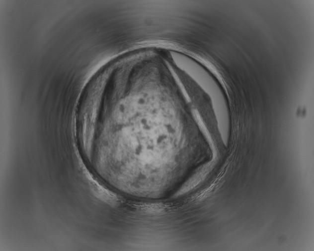 X0000088870999200706291536