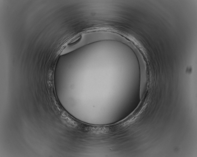 X0000088871001200706291536