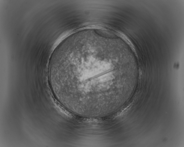 X0000088871002200706291536