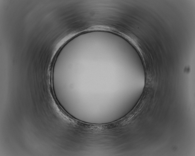 X0000088871003200706291536