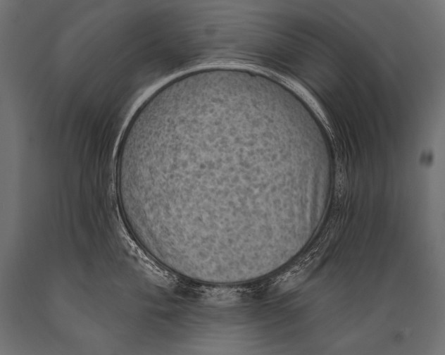 X0000088871004200706291536