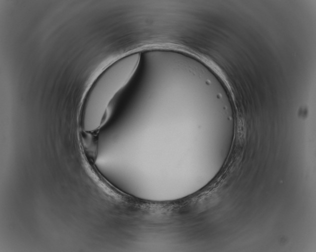 X0000088871005200706291536