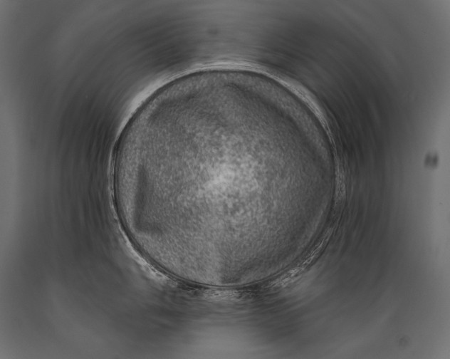 X0000088871006200706291536