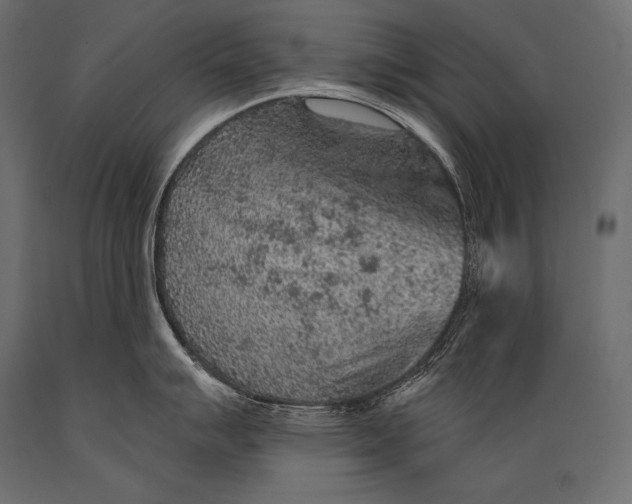 X0000088871007200706291536