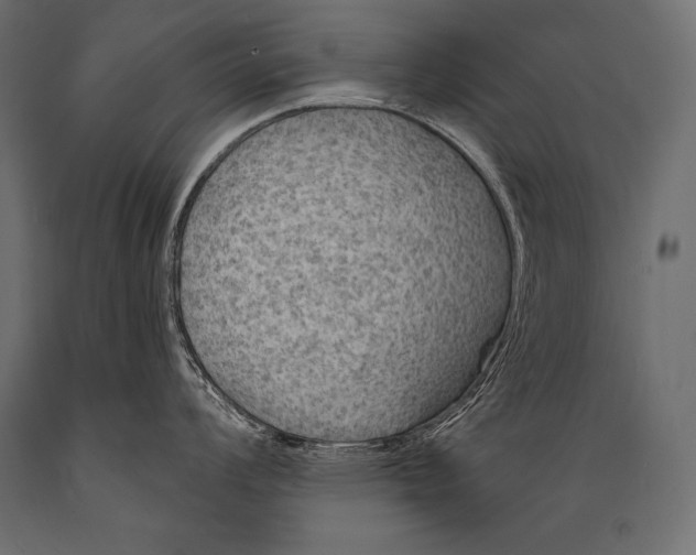 X0000088871008200706291536