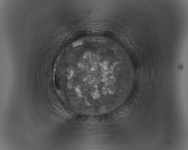 X0000088871009200706291535