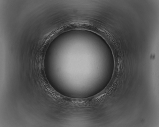 X0000088871014200706291535