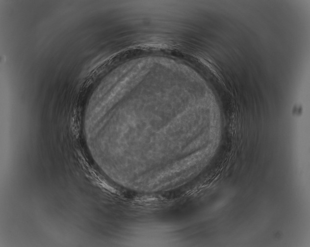X0000088871015200706291535