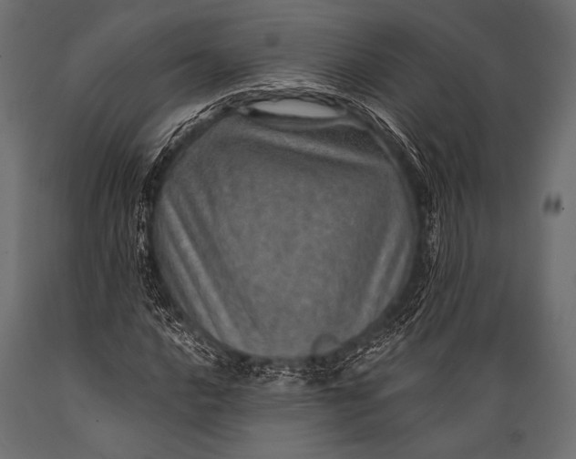X0000088871016200706291535