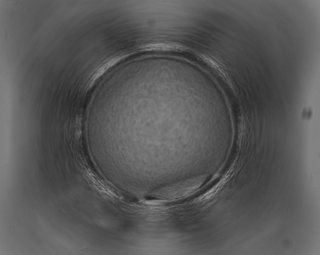 X0000088871017200706291535