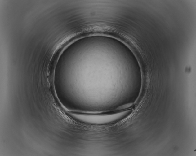 X0000088871018200706291535