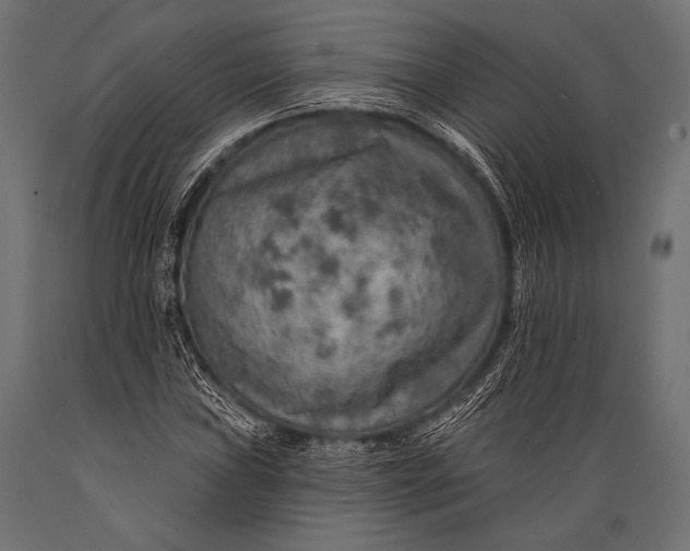 X0000088871019200706291535