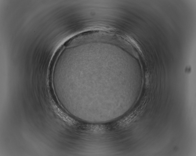 X0000088871020200706291535