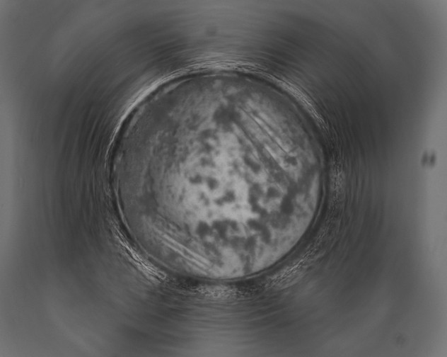 X0000088871023200706291535